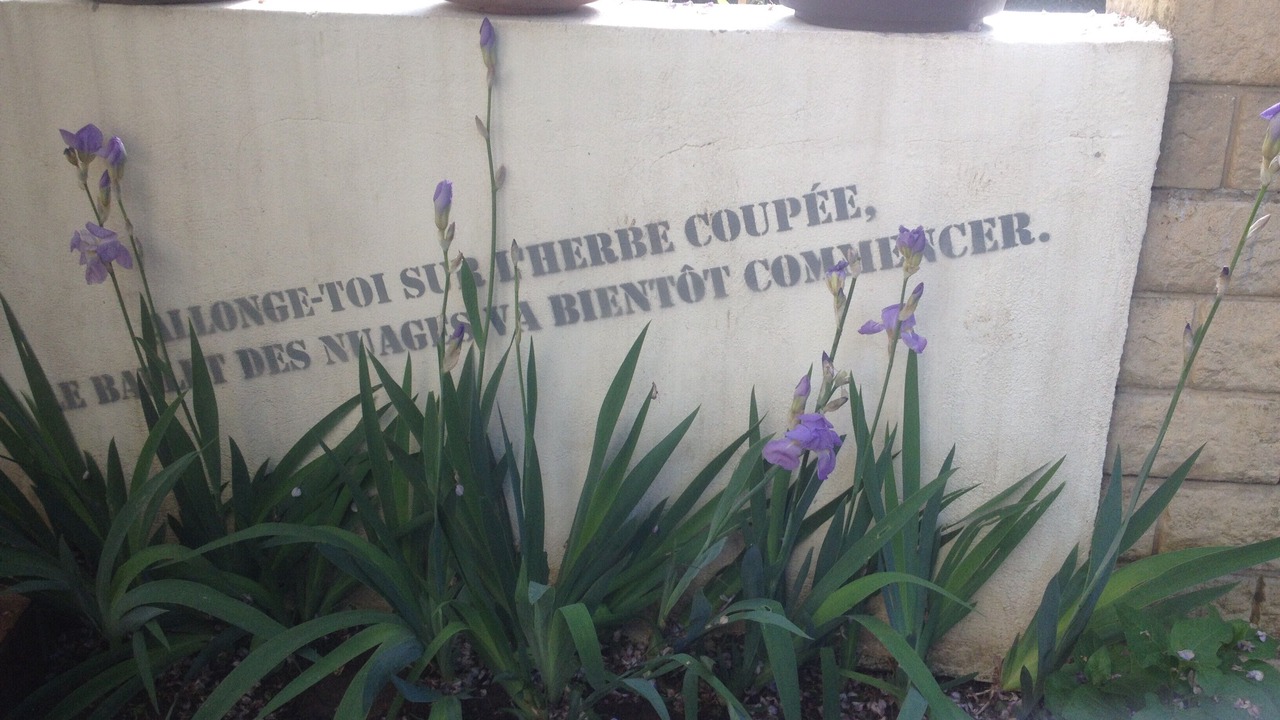 Photo of Outdoor in Izeron