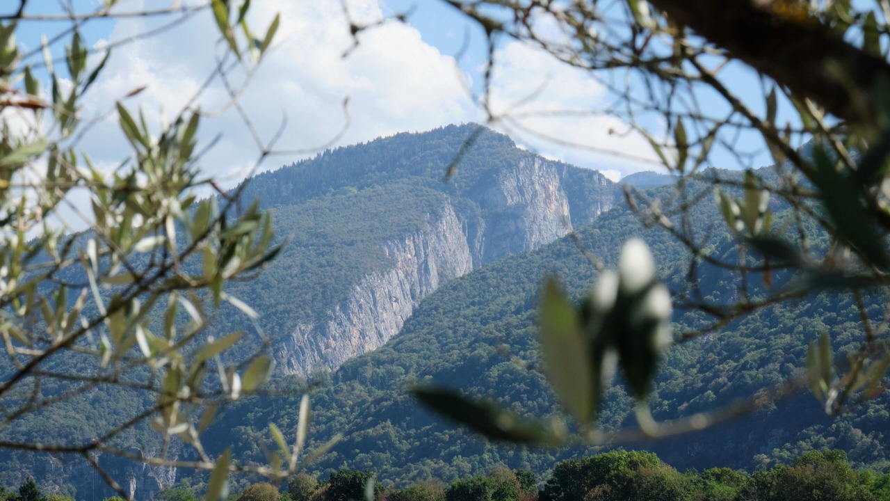 Photo of Others in Izeron