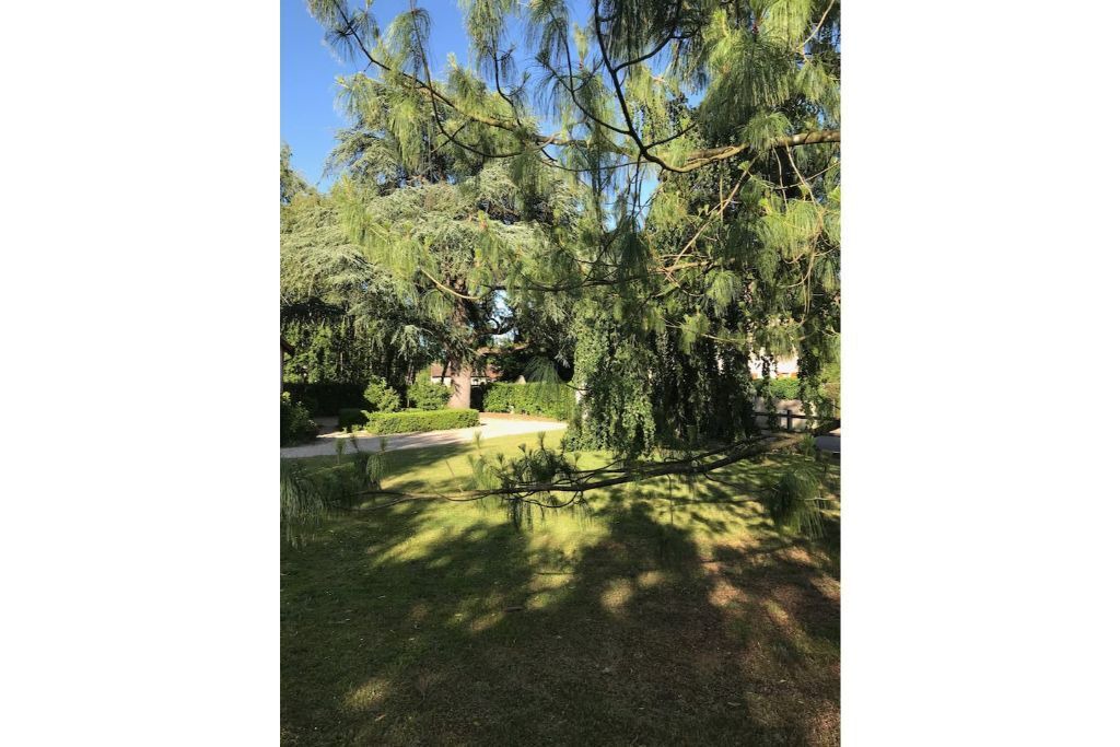 Photo of Outdoor in Cuisery