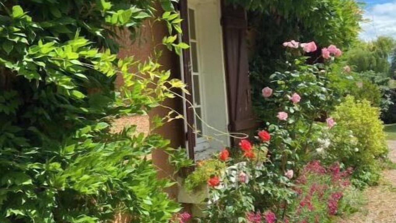 Photo of Outdoor in Cuisery