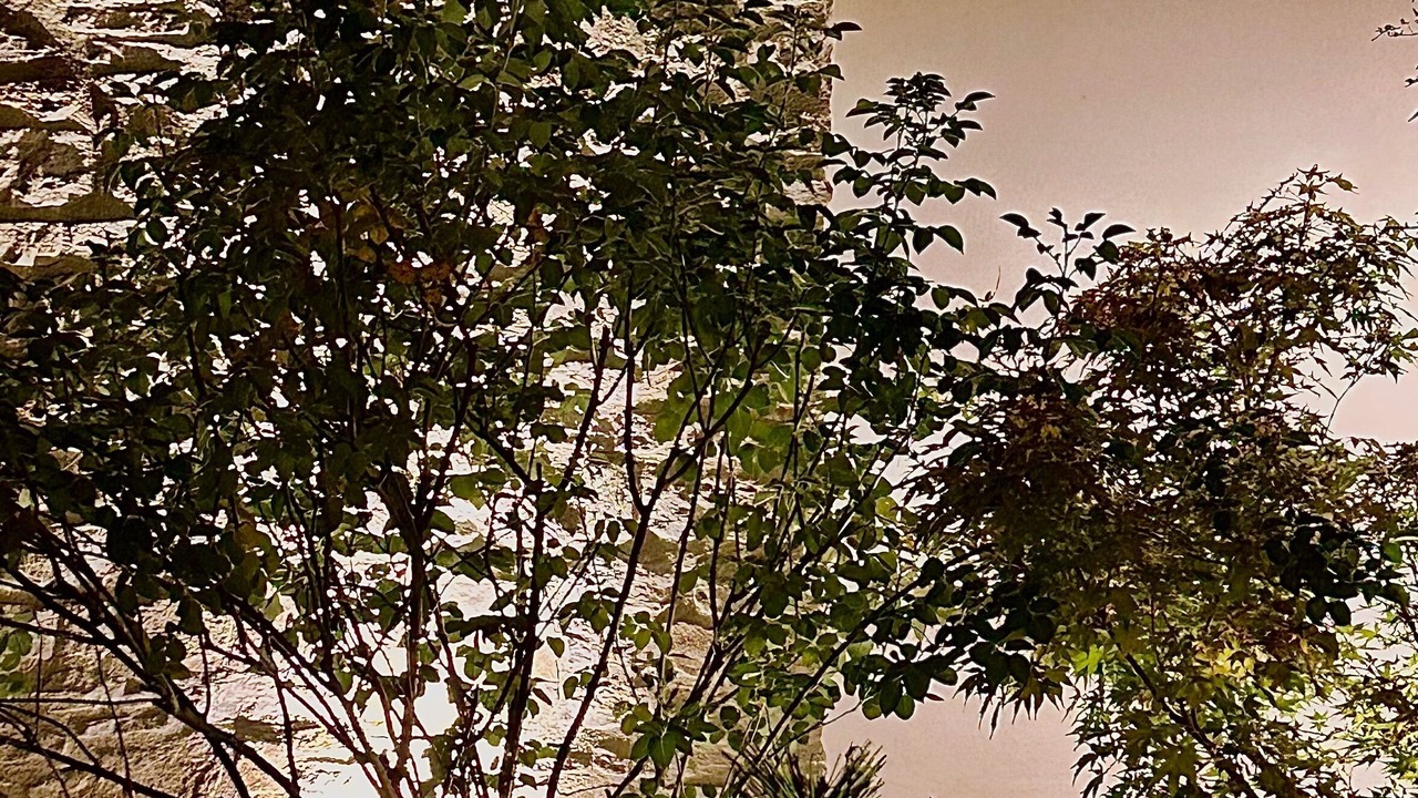 Photo of Outdoor in Vesc