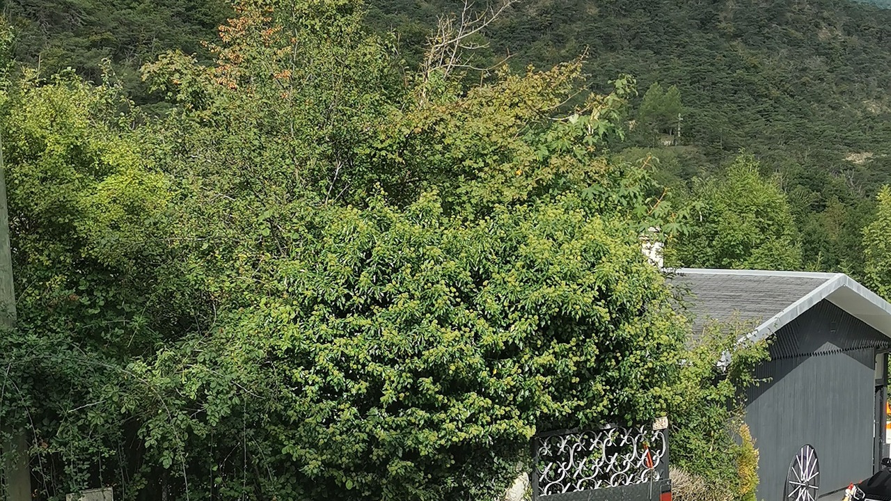 Photo of Outdoor in Saint-Andeol