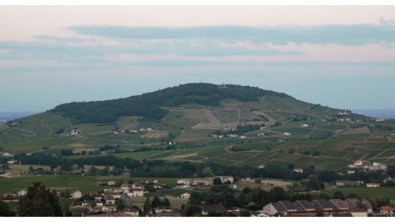 Photo of Outdoor in Quincie-en-Beaujolais