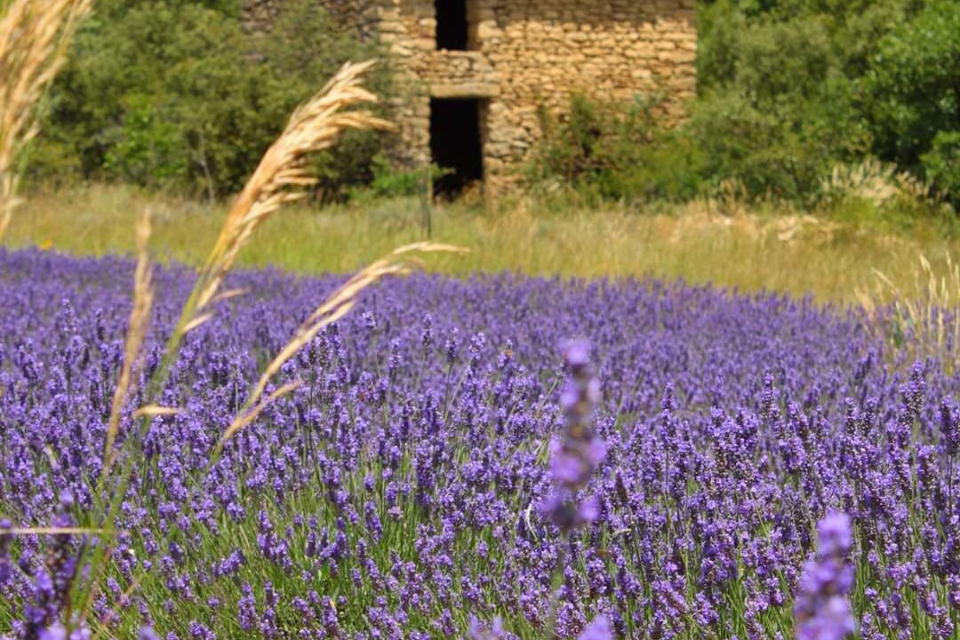Photo of Outdoor in Chantemerle-les-Grignan