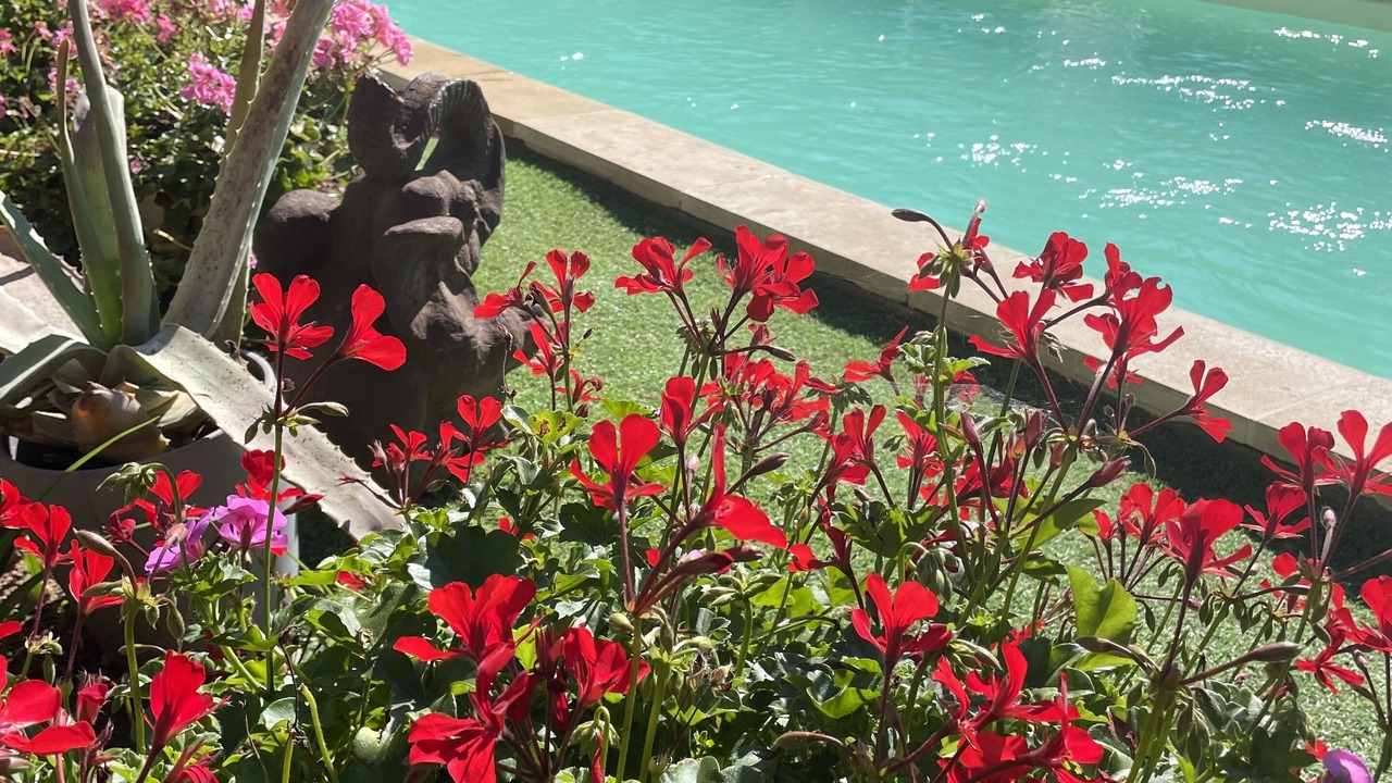 Photo of Outdoor in Saint-Saulge