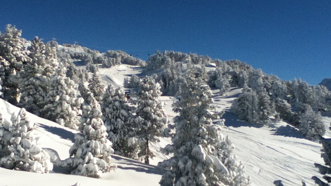 Photo of Others in Chamrousse