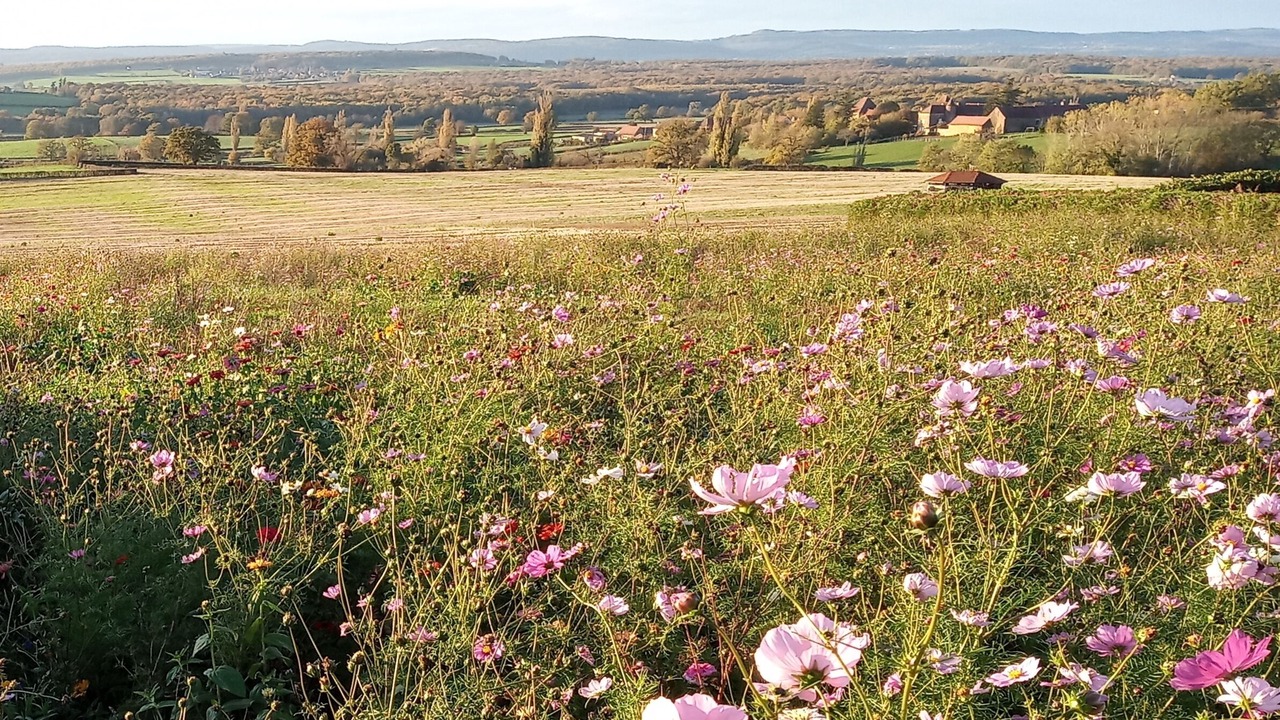 Photo of Outdoor in La Chapelle-sous-Brancion