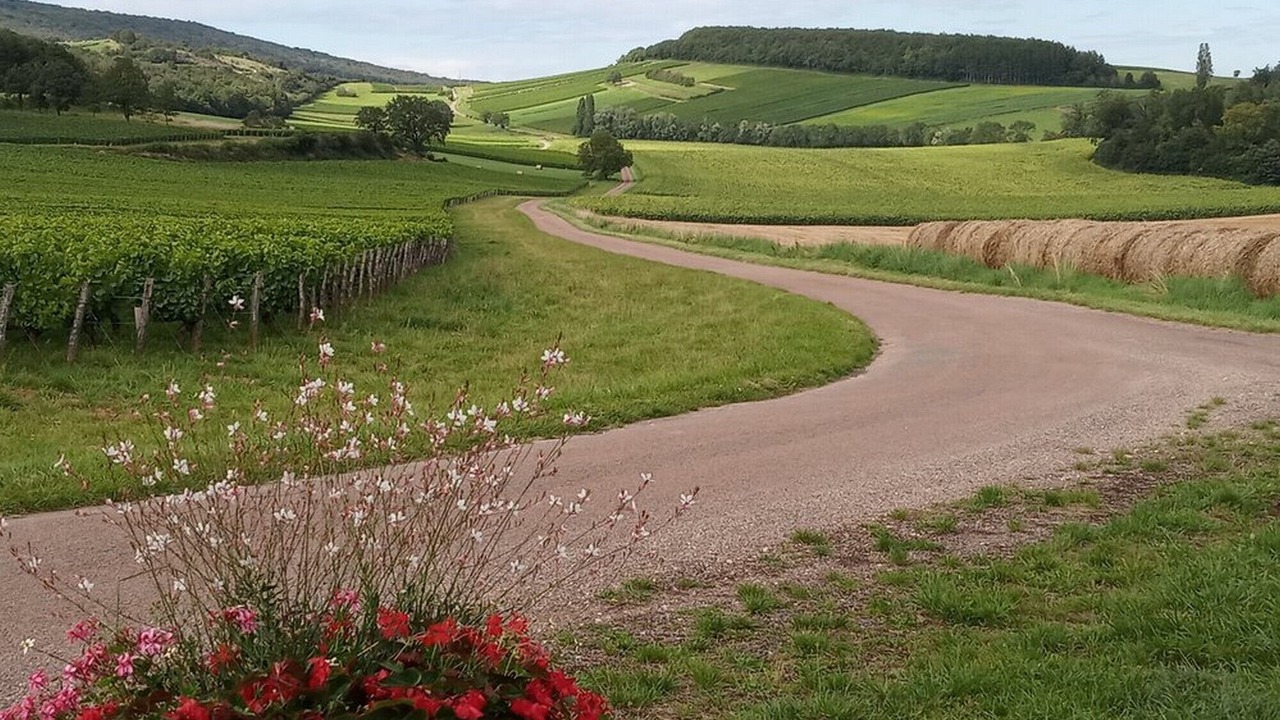 Photo of Outdoor in La Chapelle-sous-Brancion