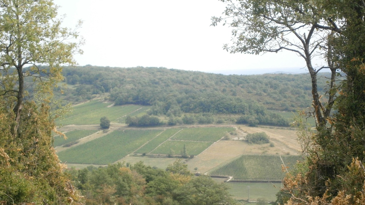 Photo of Others in La Chapelle-sous-Brancion