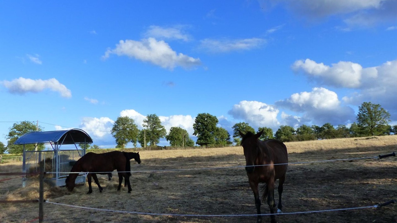 Photo of Others in Sauvagny