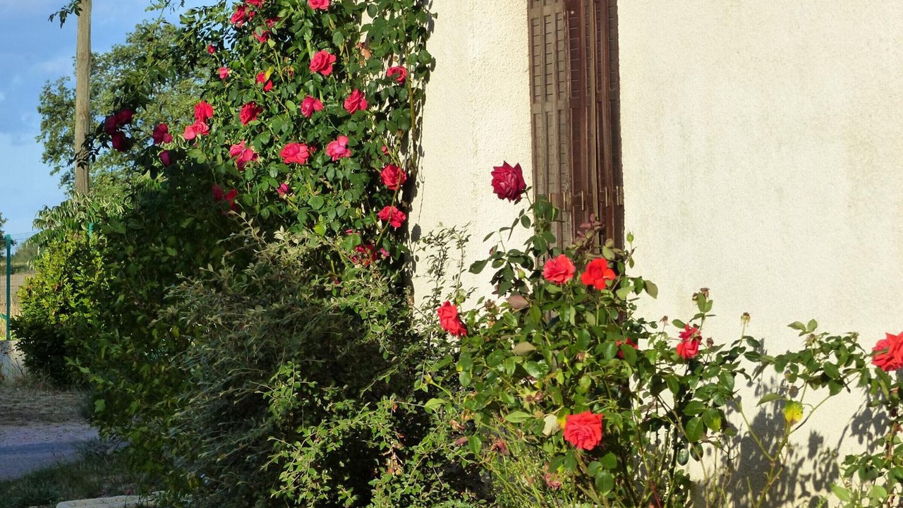 Photo of Outdoor in Sauvagny