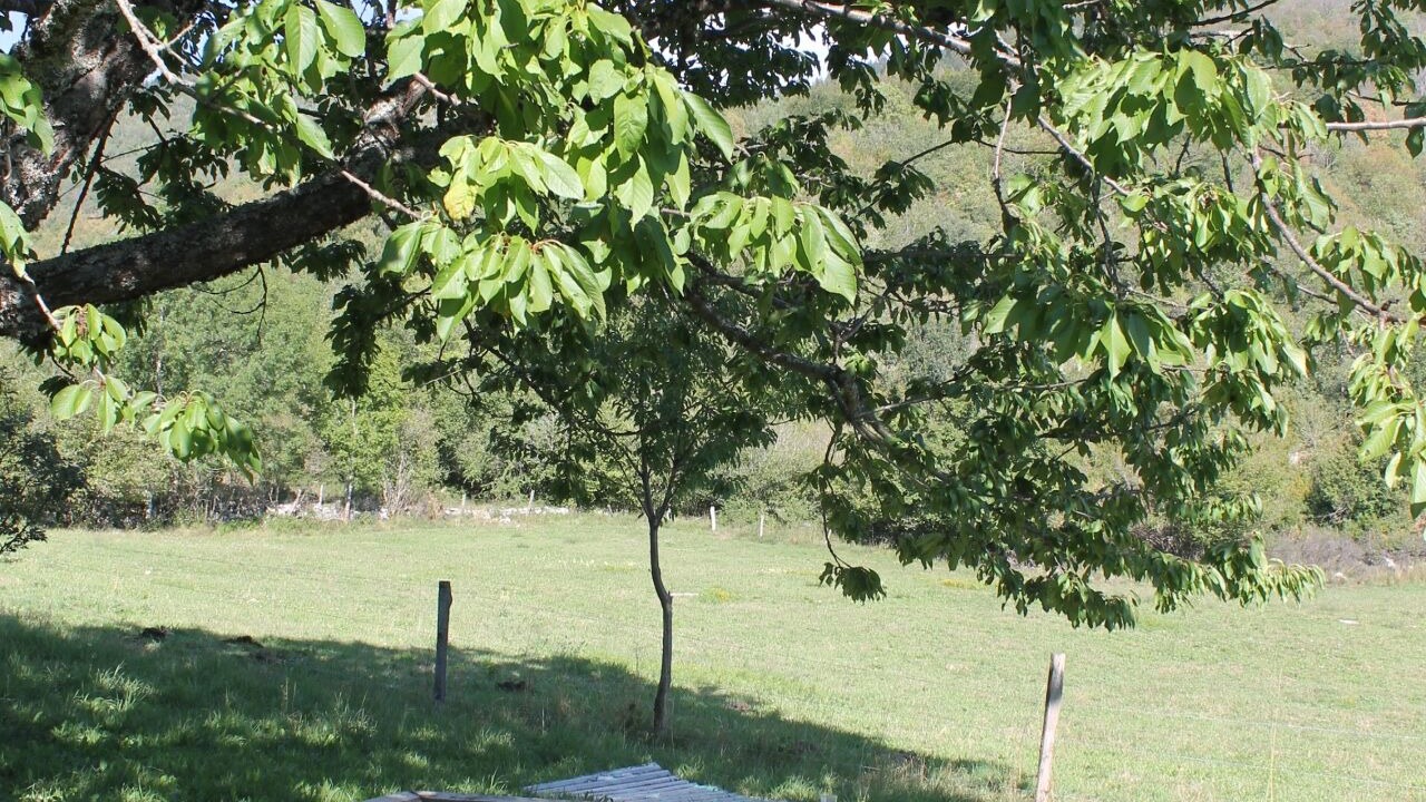 Photo of Outdoor in Presles