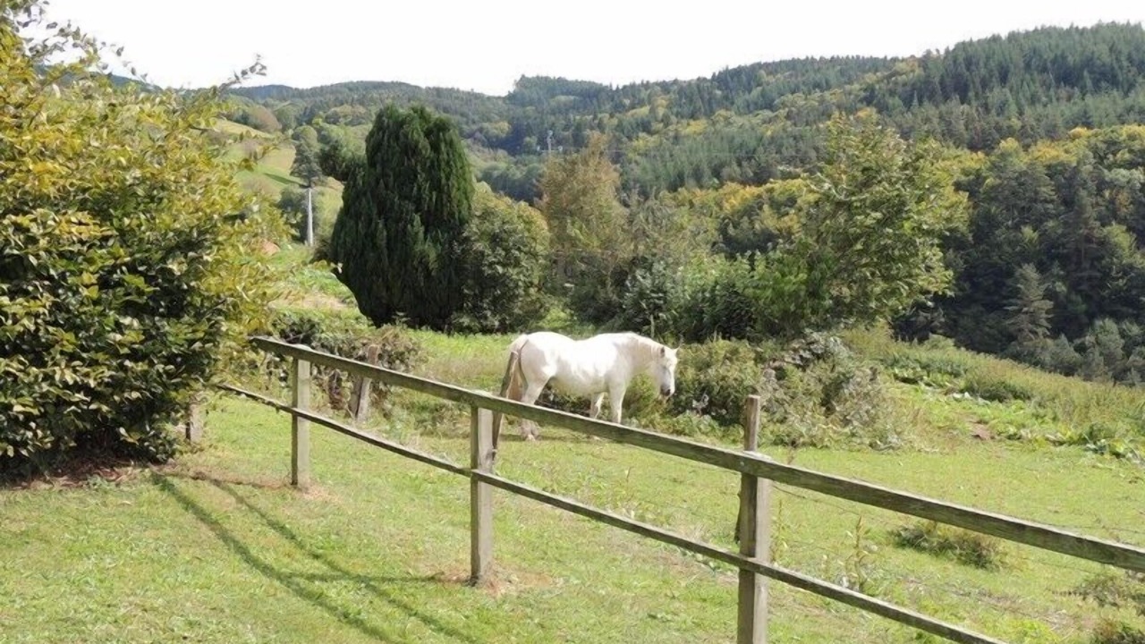 Photo of Outdoor in Peslieres
