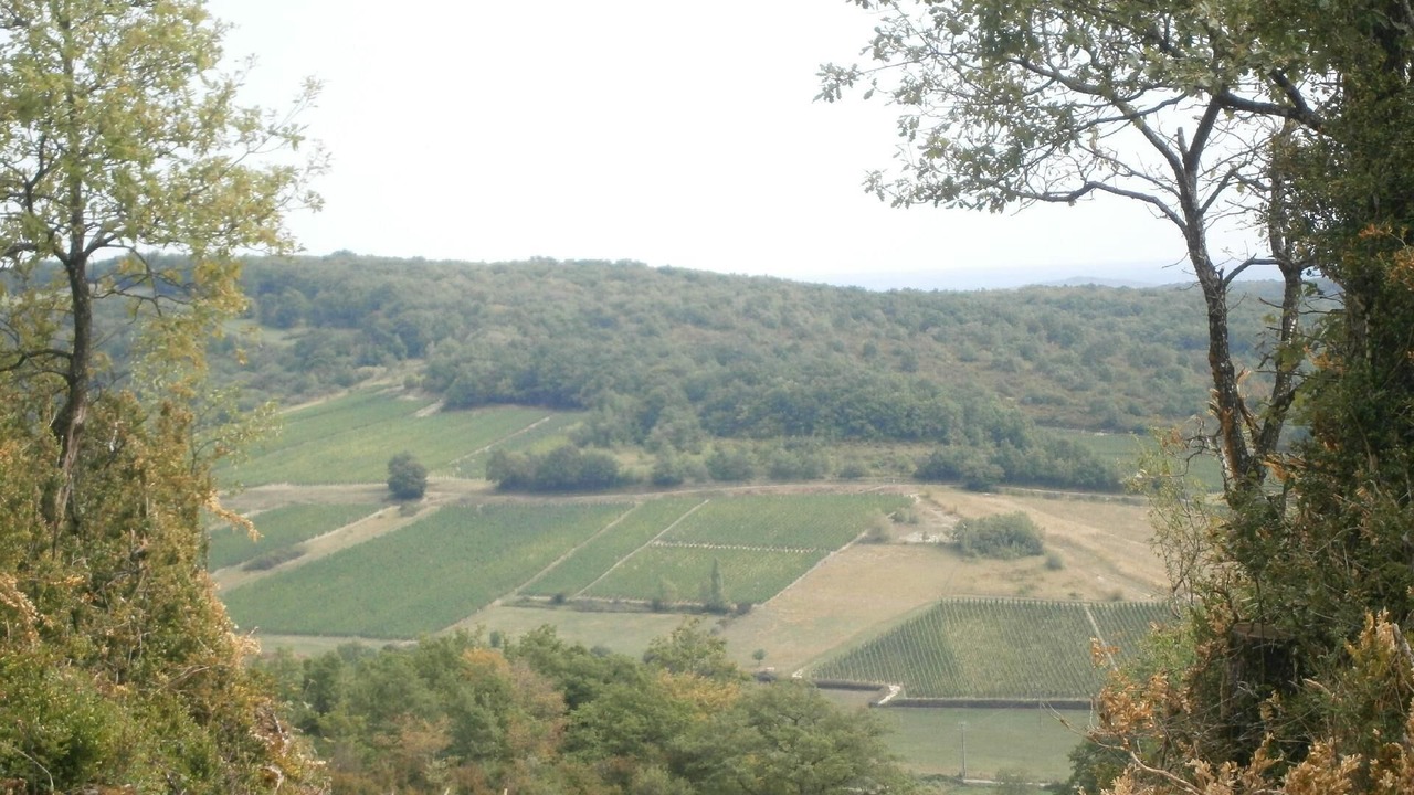Photo of Others in La Chapelle-sous-Brancion