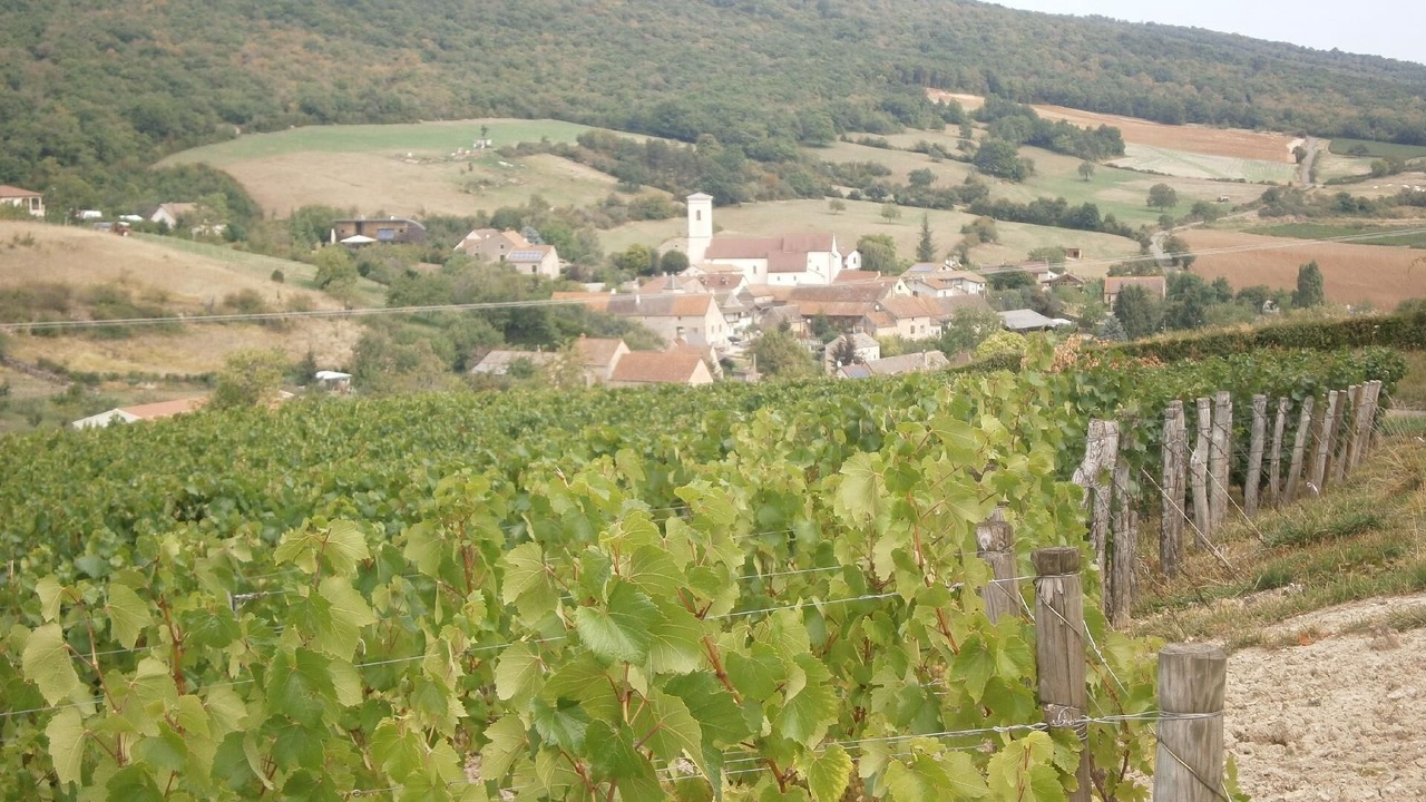 Photo of Outdoor in La Chapelle-sous-Brancion