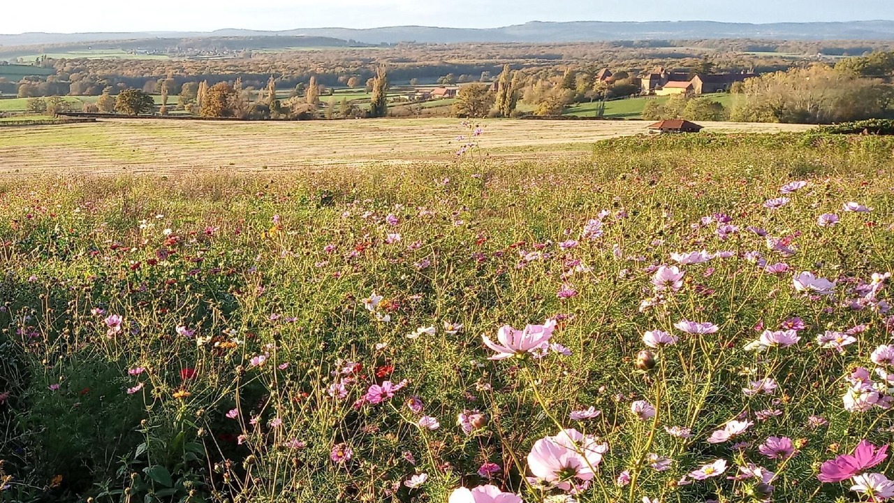 Photo of Outdoor in La Chapelle-sous-Brancion