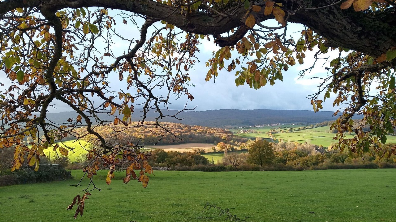 Photo of Outdoor in La Chapelle-sous-Brancion