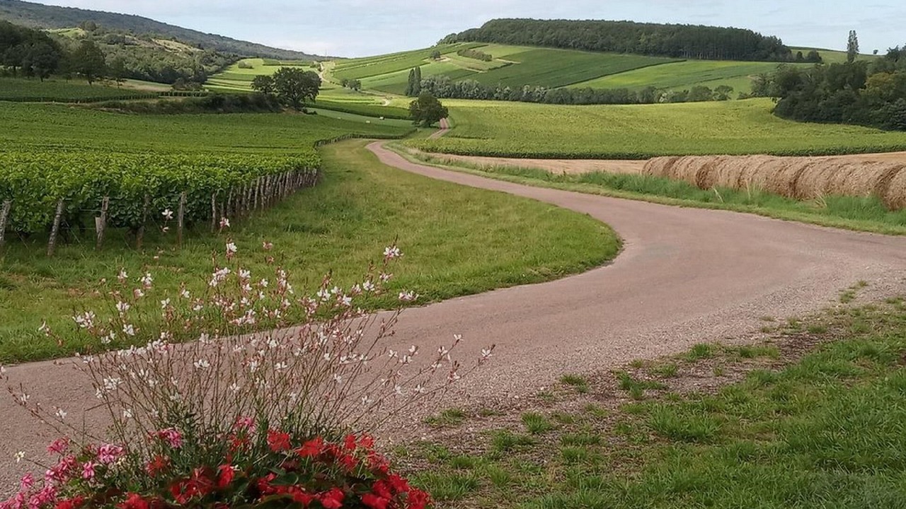Photo of Outdoor in La Chapelle-sous-Brancion