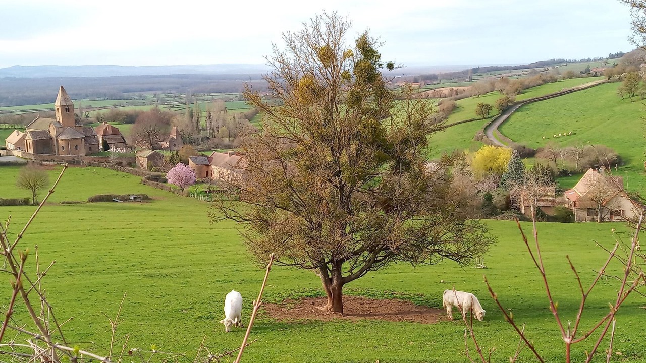 Photo of Others in La Chapelle-sous-Brancion