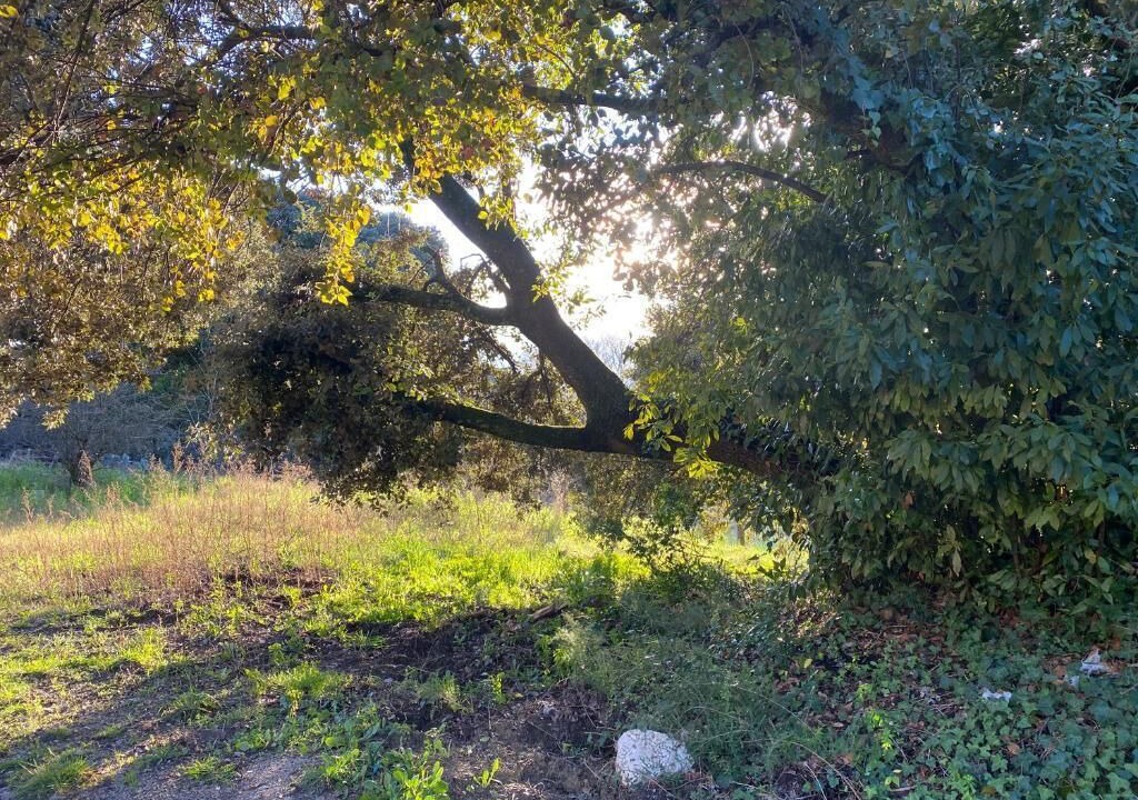 Photo of Outdoor in Bollene