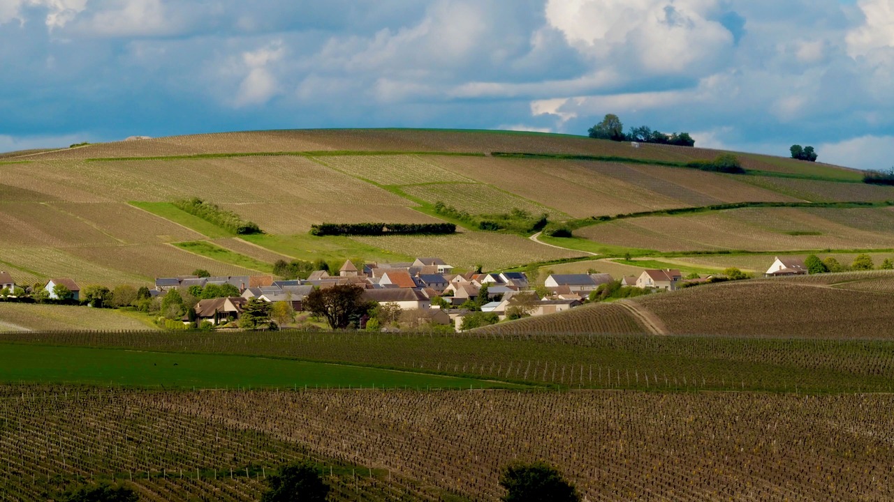 Photo of Others in Crezancy-en-Sancerre