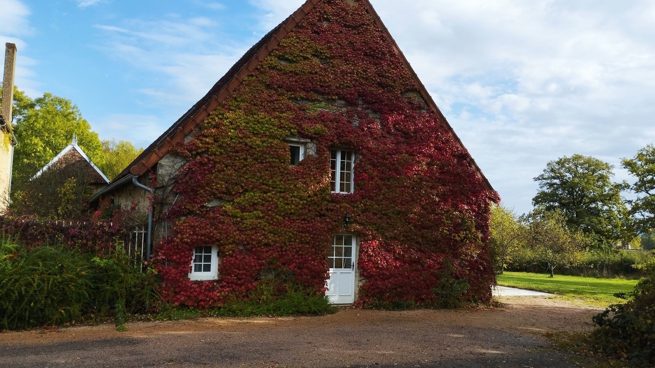 Photo of Outdoor in Tavernay