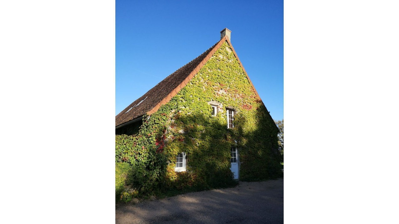Photo of Outdoor in Tavernay