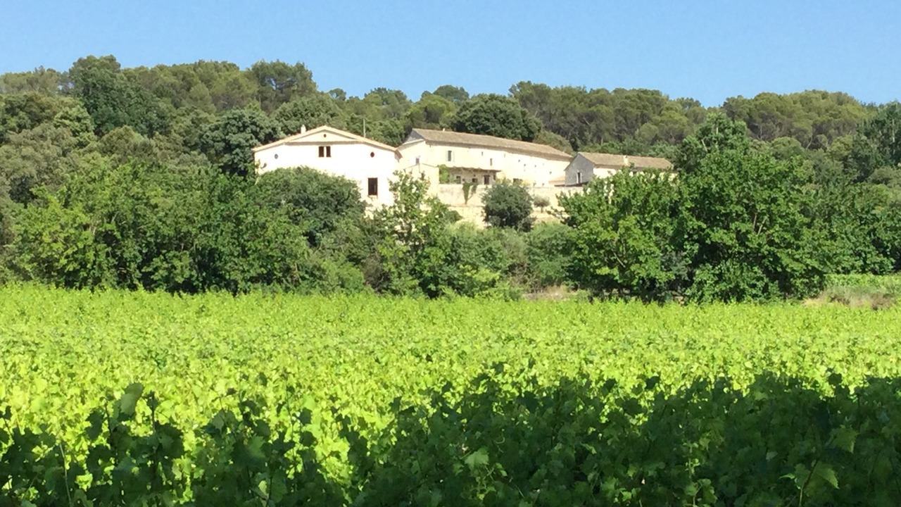 Photo of Outdoor in Bollene