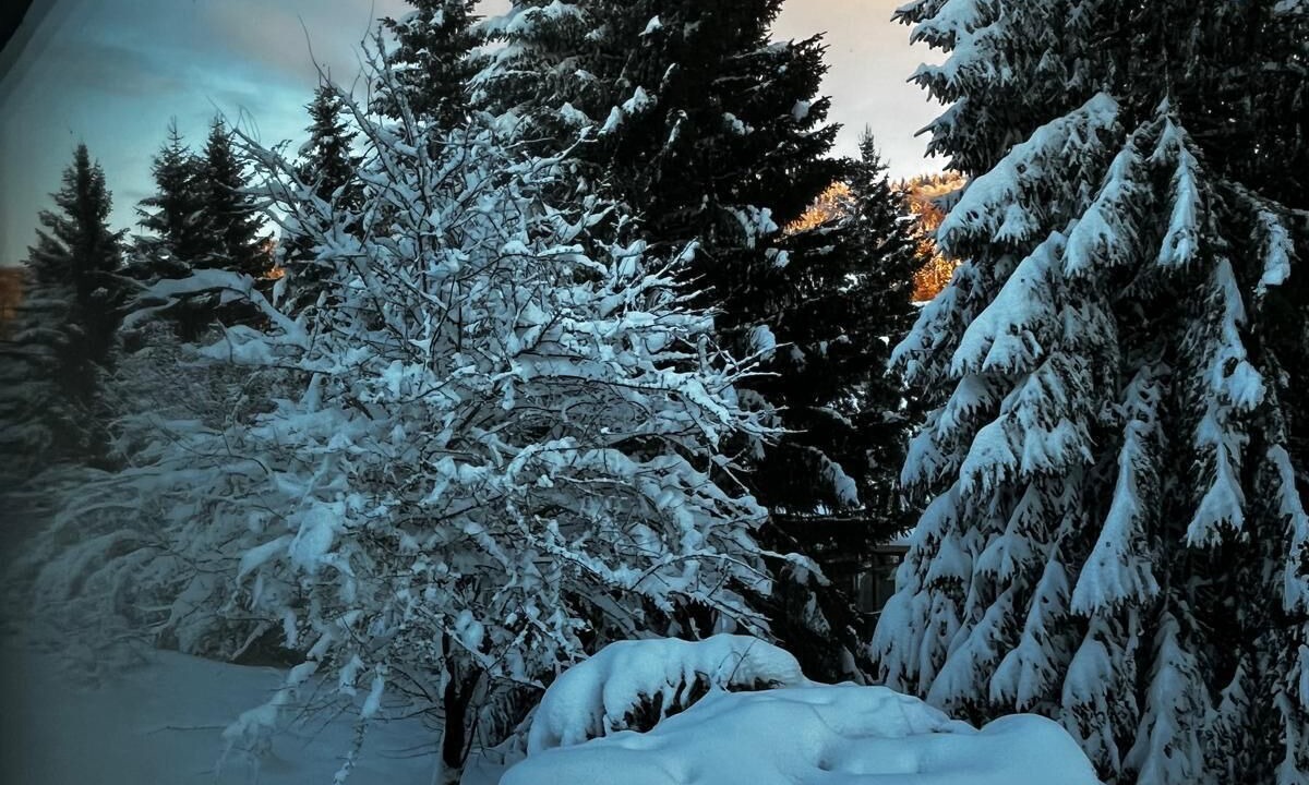 Photo of Others in Paroisse des Monts de Bienne