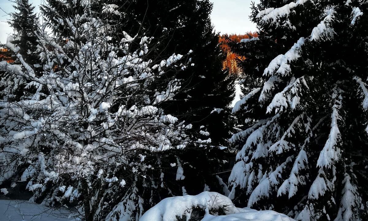 Photo of Others in Paroisse des Monts de Bienne