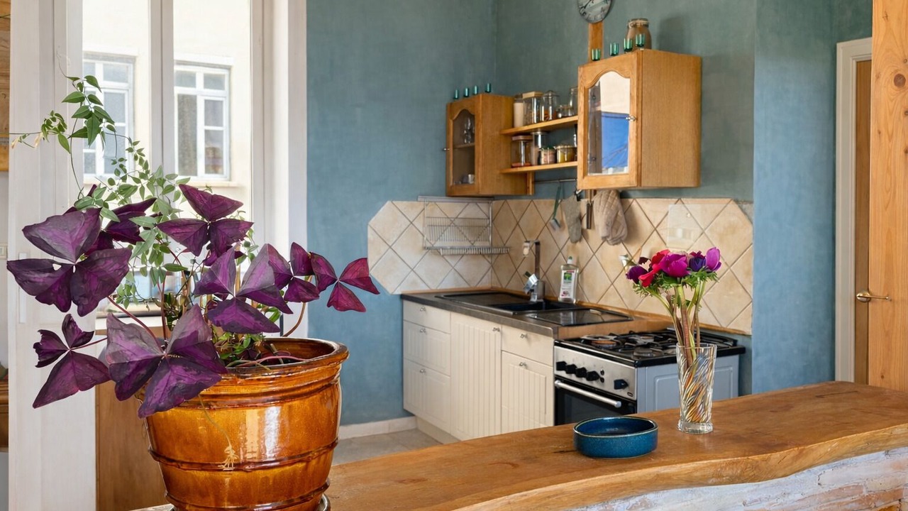 Photo of Kitchen in Thizy-les-Bourgs