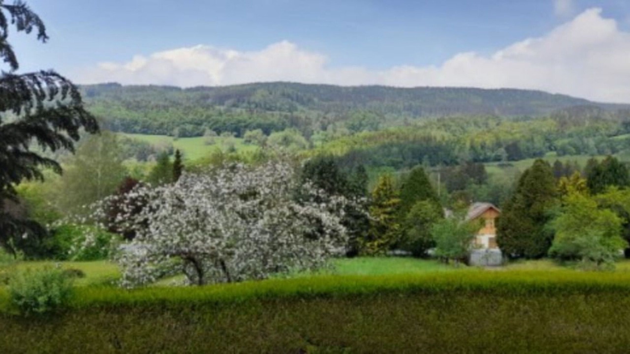 Photo of Others in Habere-Lullin