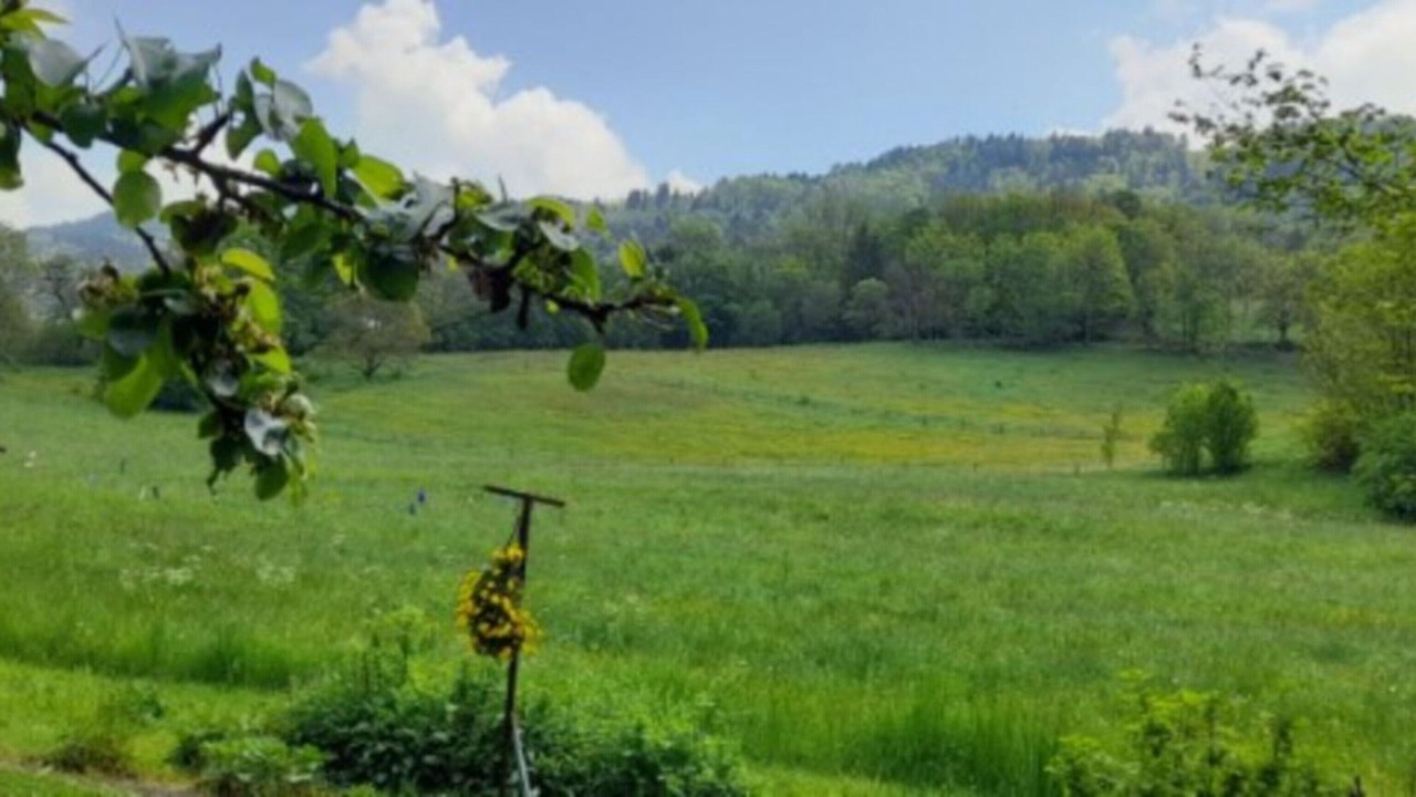 Photo of Others in Habere-Lullin