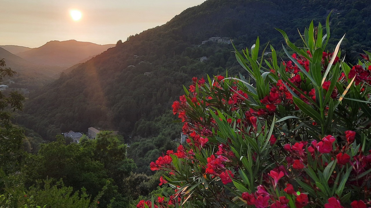 Photo of Outdoor in Chirols