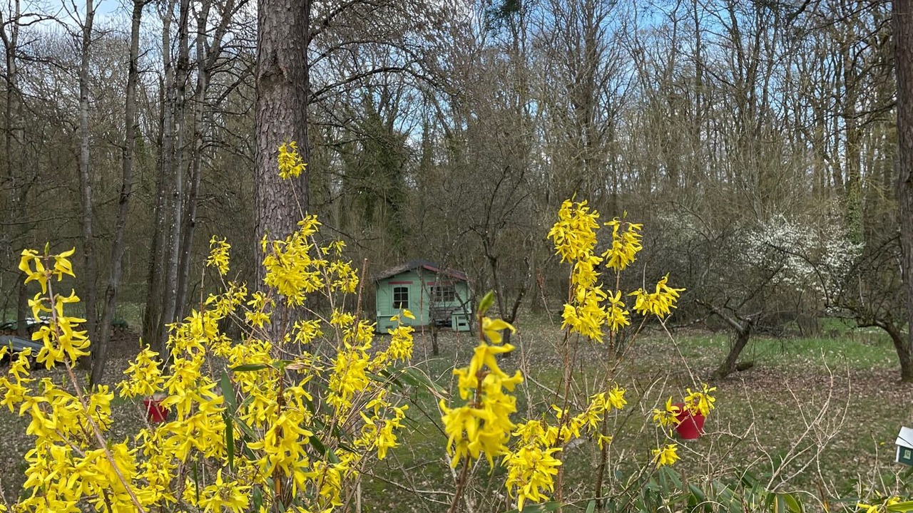 Photo of Outdoor in Pange