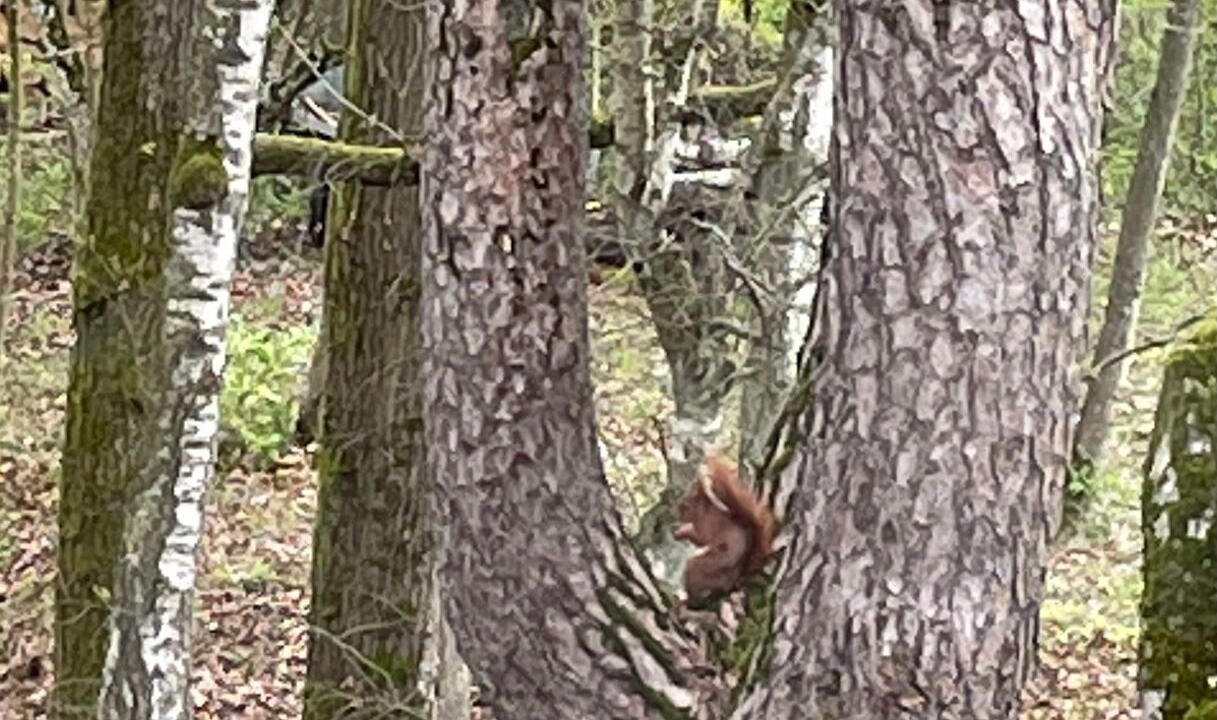 Photo of Outdoor in Pange