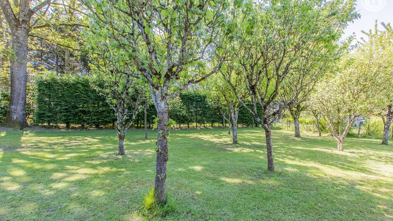 Photo of Outdoor in Pierre-de-Bresse