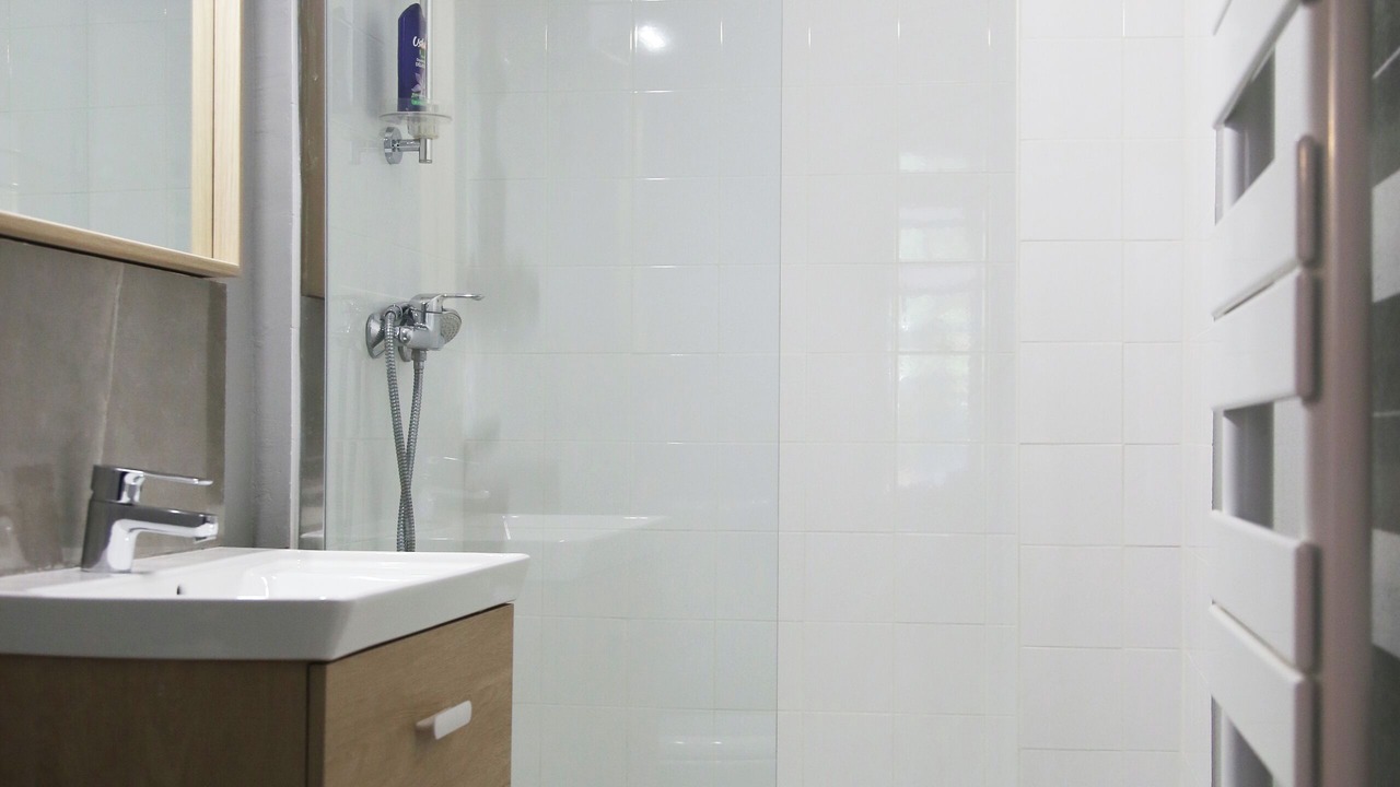 Photo of Bathroom in Aurel