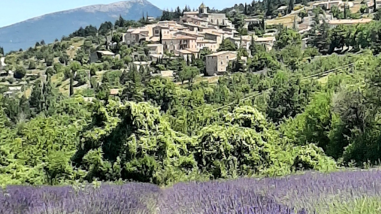 Photo of Outdoor in Aurel