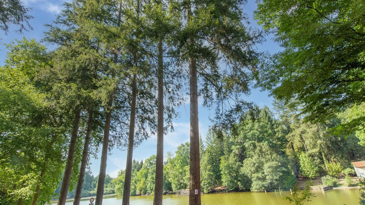 Photo of Outdoor in Dompierre-les-Ormes
