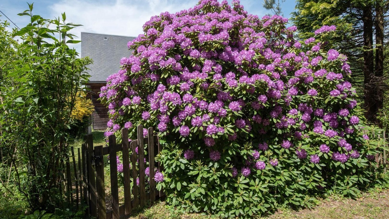Photo of Outdoor in La Grande-Verriere