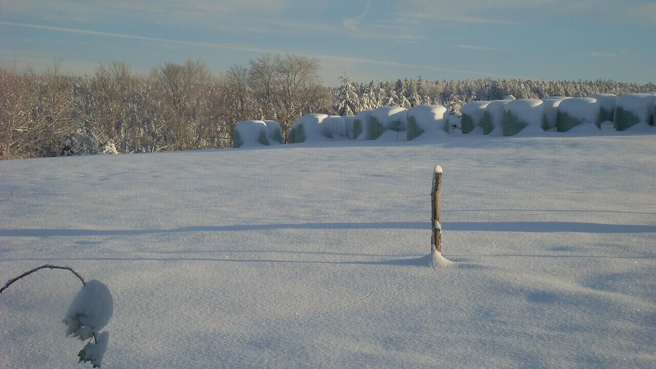 Photo of Others in Girmont-Val-d'Ajol