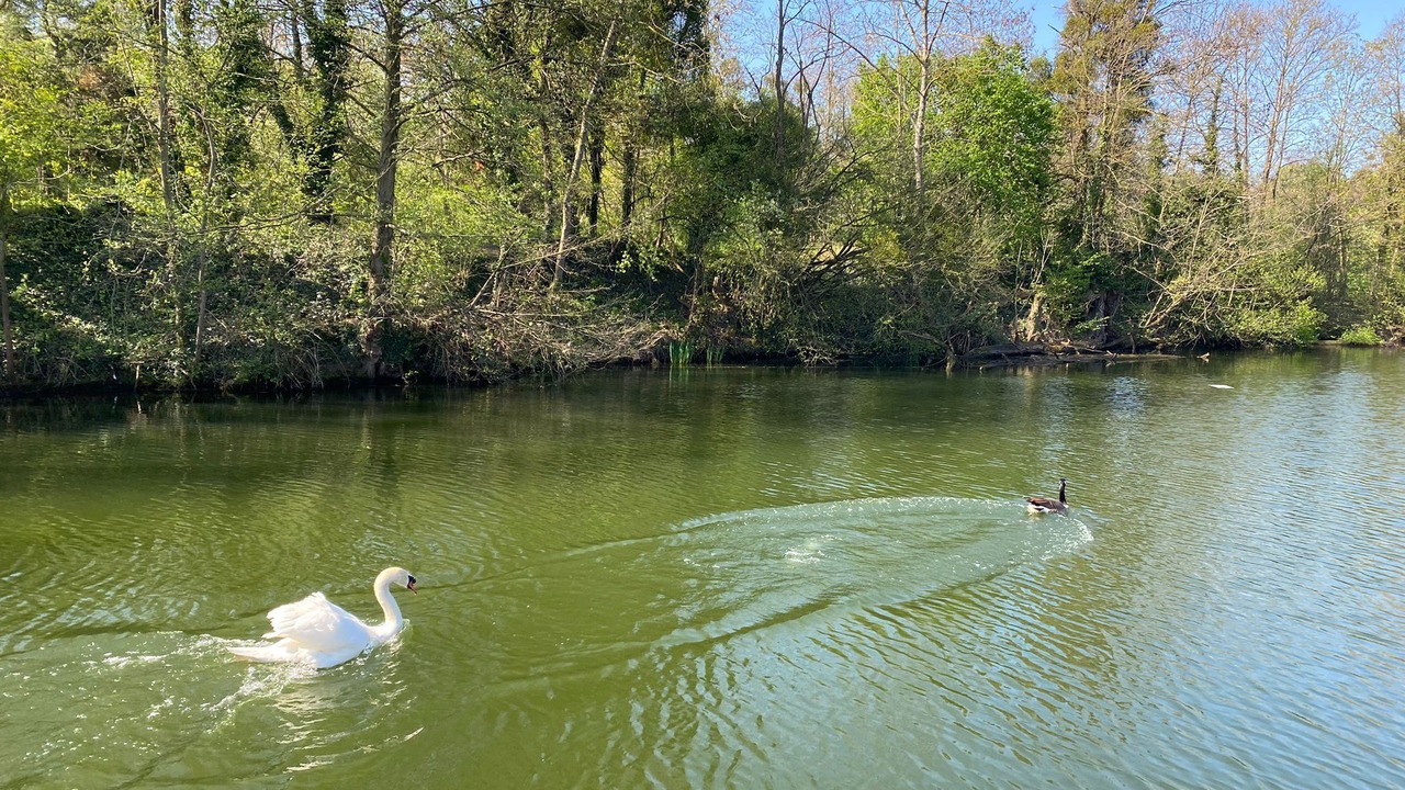 Photo of Others in Vigneux-sur-Seine