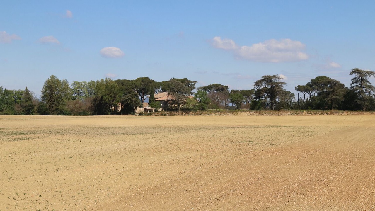 Photo of Others in Saint-Paul-Trois-Chateaux