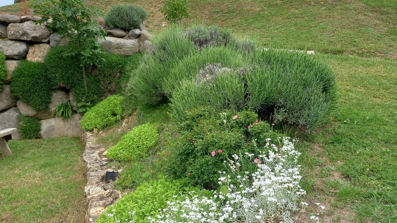 Photo of Outdoor in Saint-Barthelemy-le-Plain