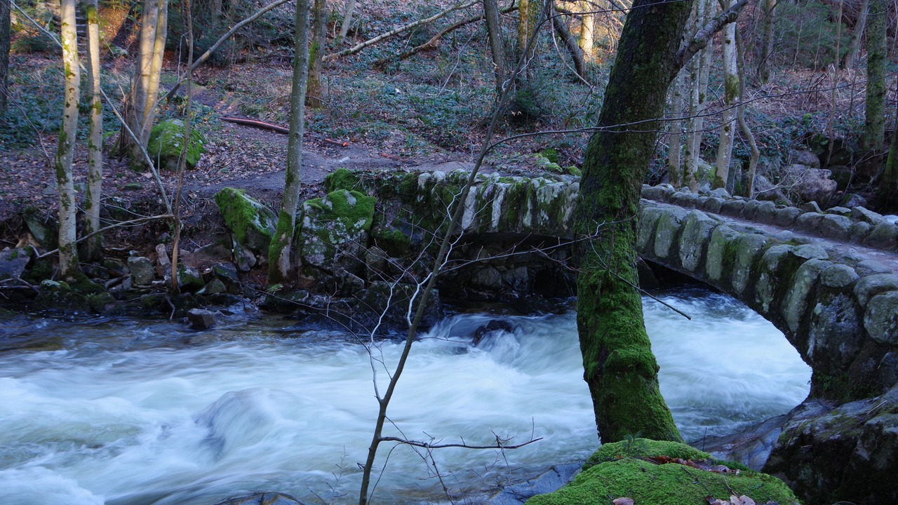 Photo of Outdoor in Xonrupt-Longemer
