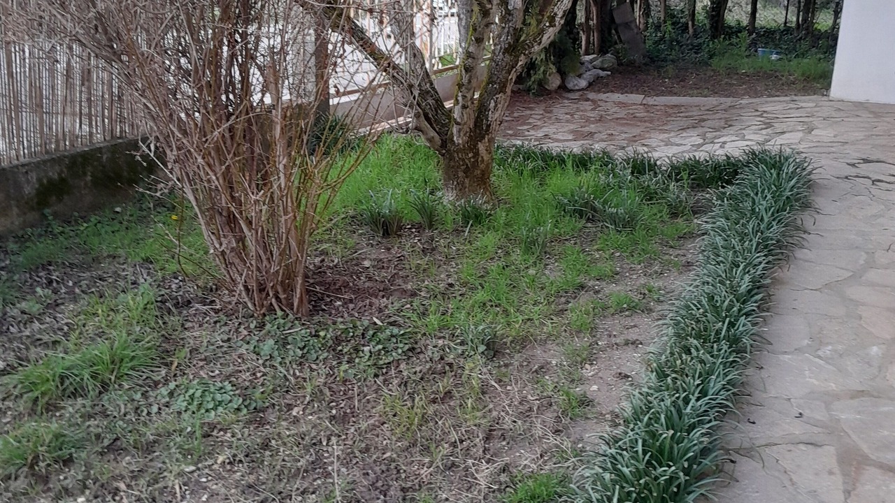Photo of Outdoor in Chateauneuf-du-Rhone
