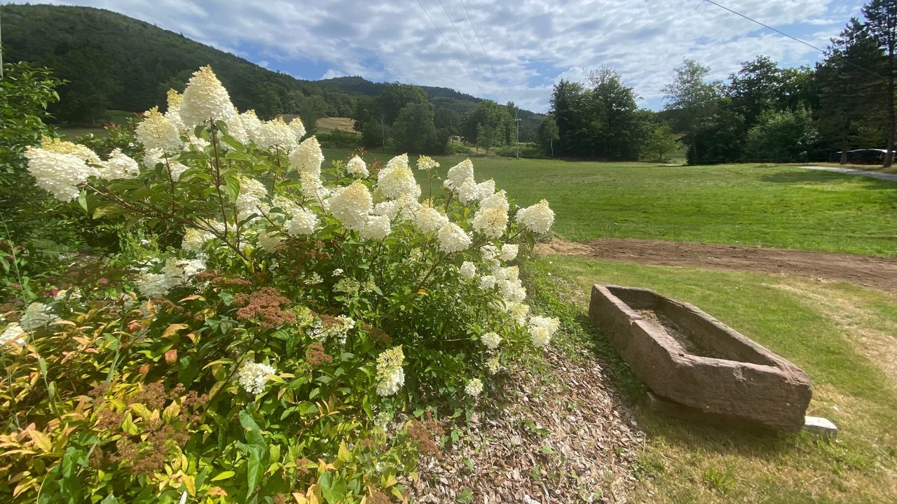 Photo of Outdoor in Rupt-sur-Moselle