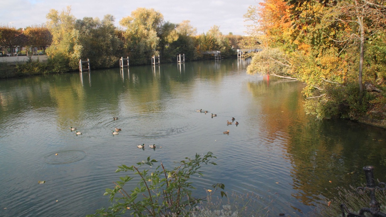 Photo of Others in Saint-Maurice