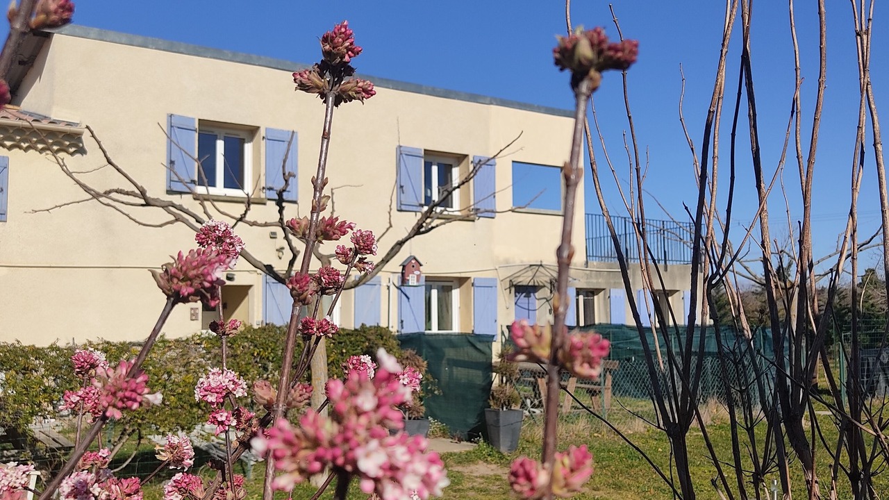 Photo of Outdoor in Montelimar